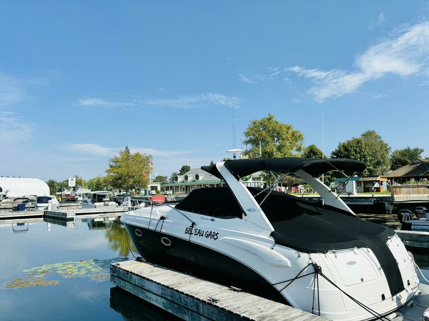2008 Chaparral 330 Signature 33