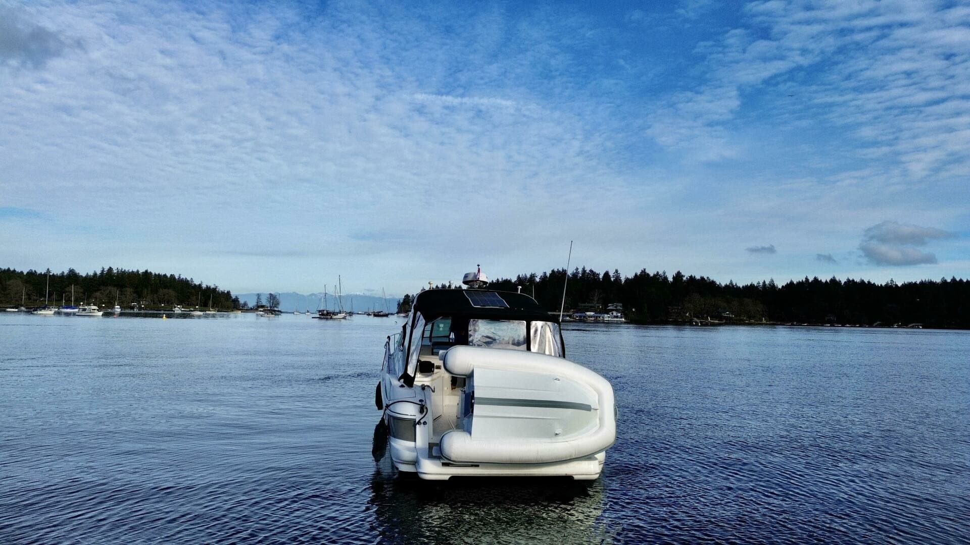 2006 Cruisers Yachts 340 Express 34
