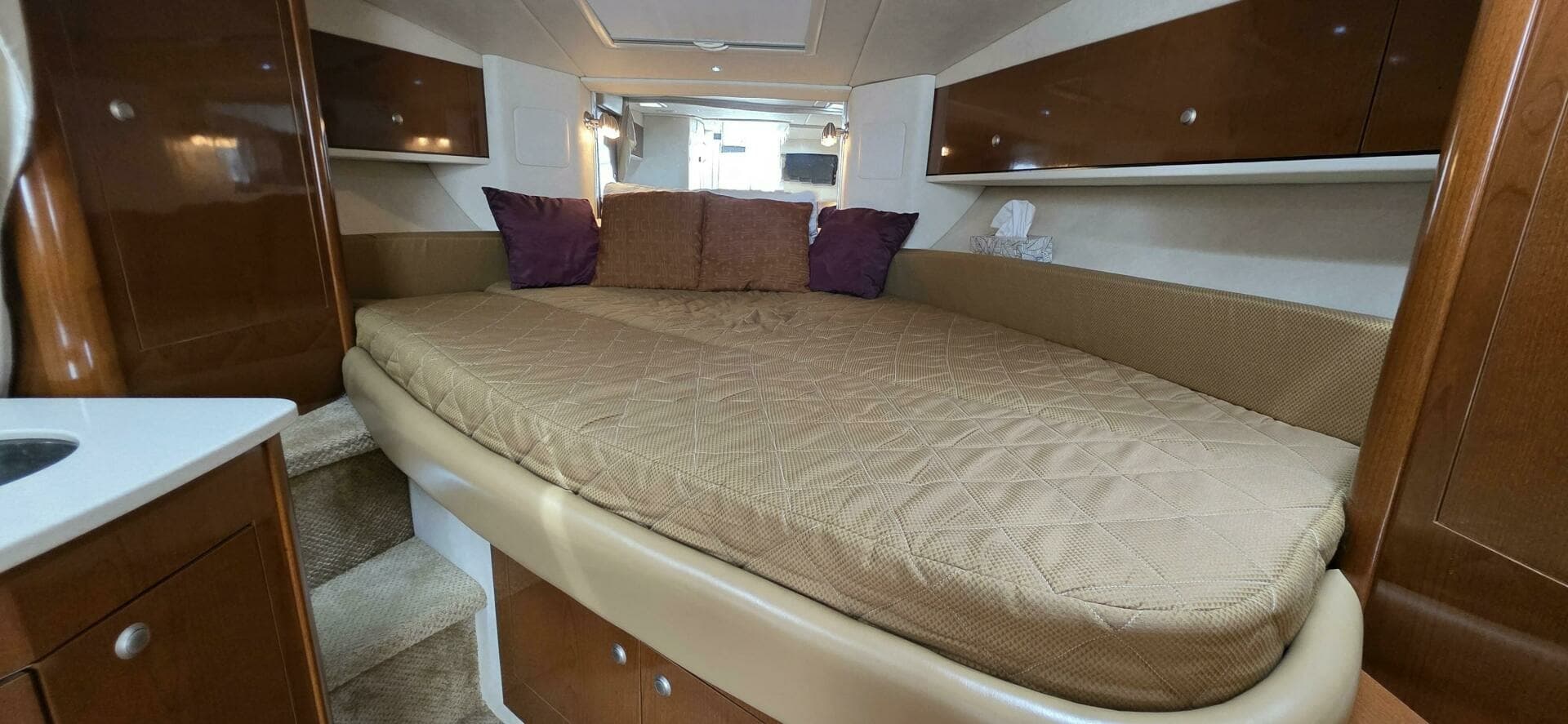 2009 Sea Ray 310 Sundancer 31